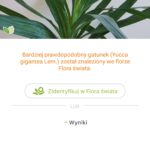 Identyfikacja rośliny przez aplikację PlantNet